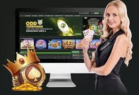 551bet